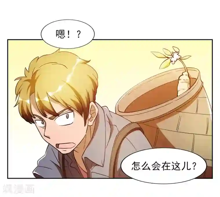 我今天开始逆袭第7话 神奇的人参