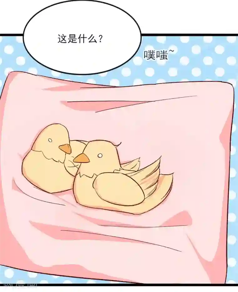 我最喜欢的TA第14话 我爱的就是你