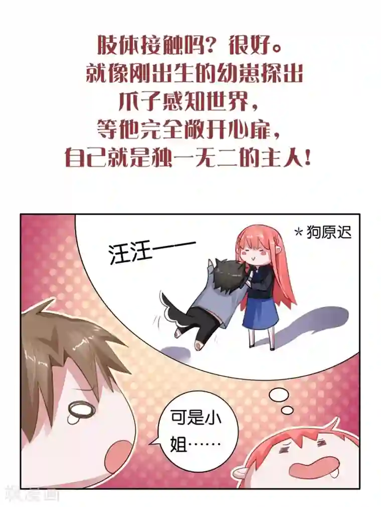 我最喜欢的TA第24话 从零开始培养小狗狗