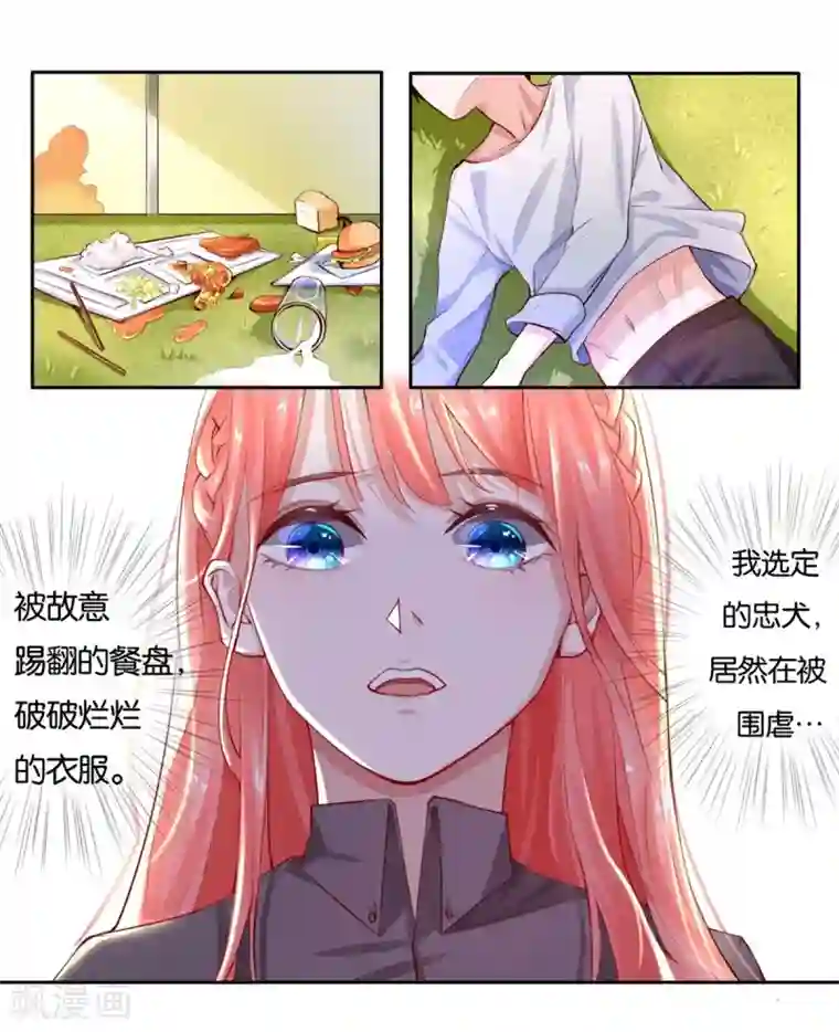 我最喜欢的TA第24话 从零开始培养小狗狗