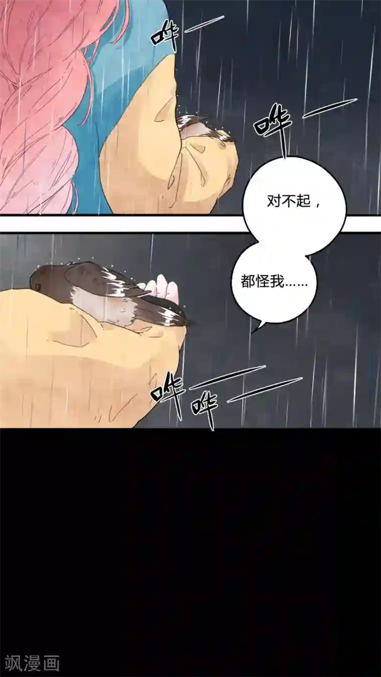 有言在仙第6话