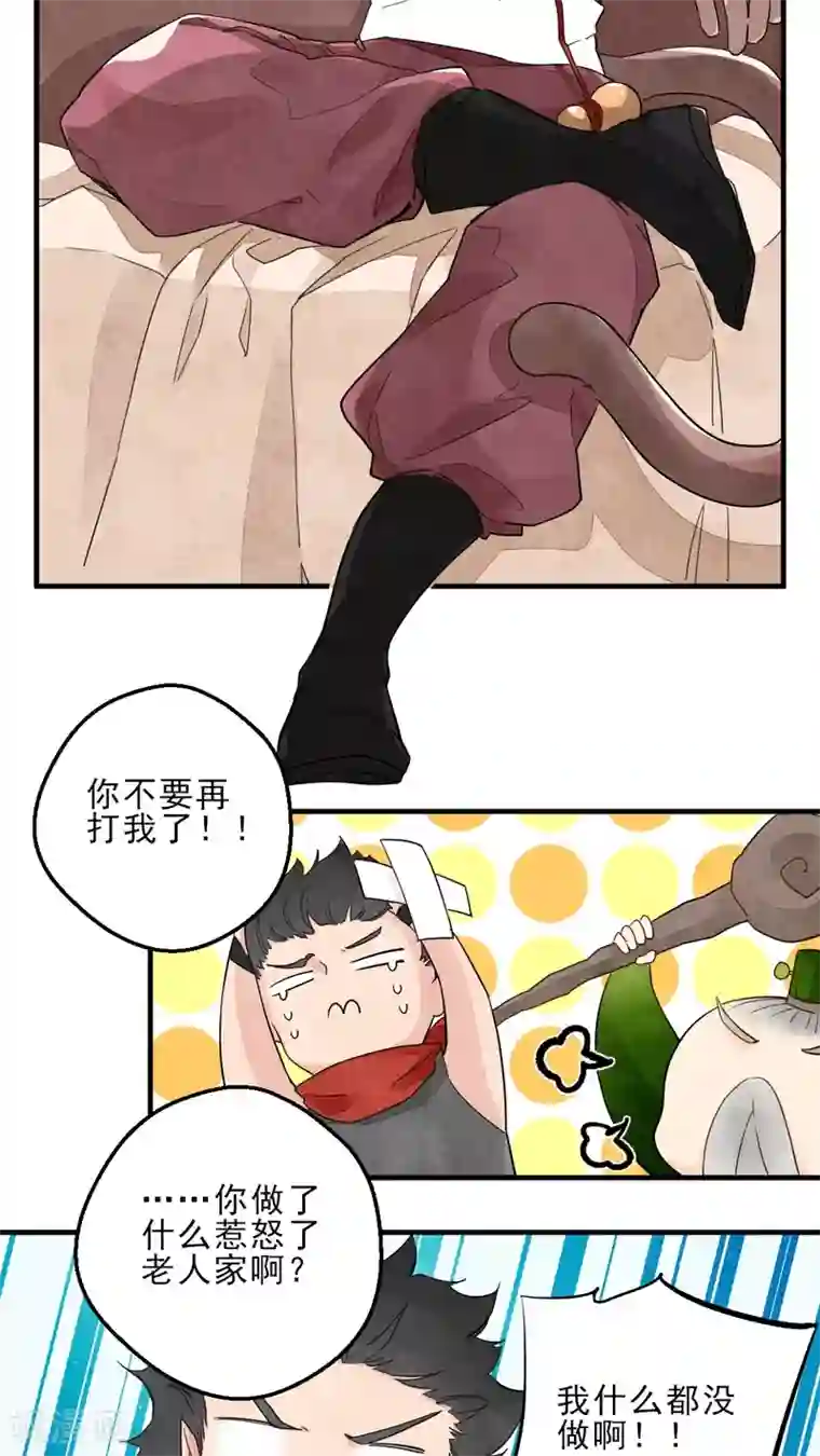 有言在仙第13话