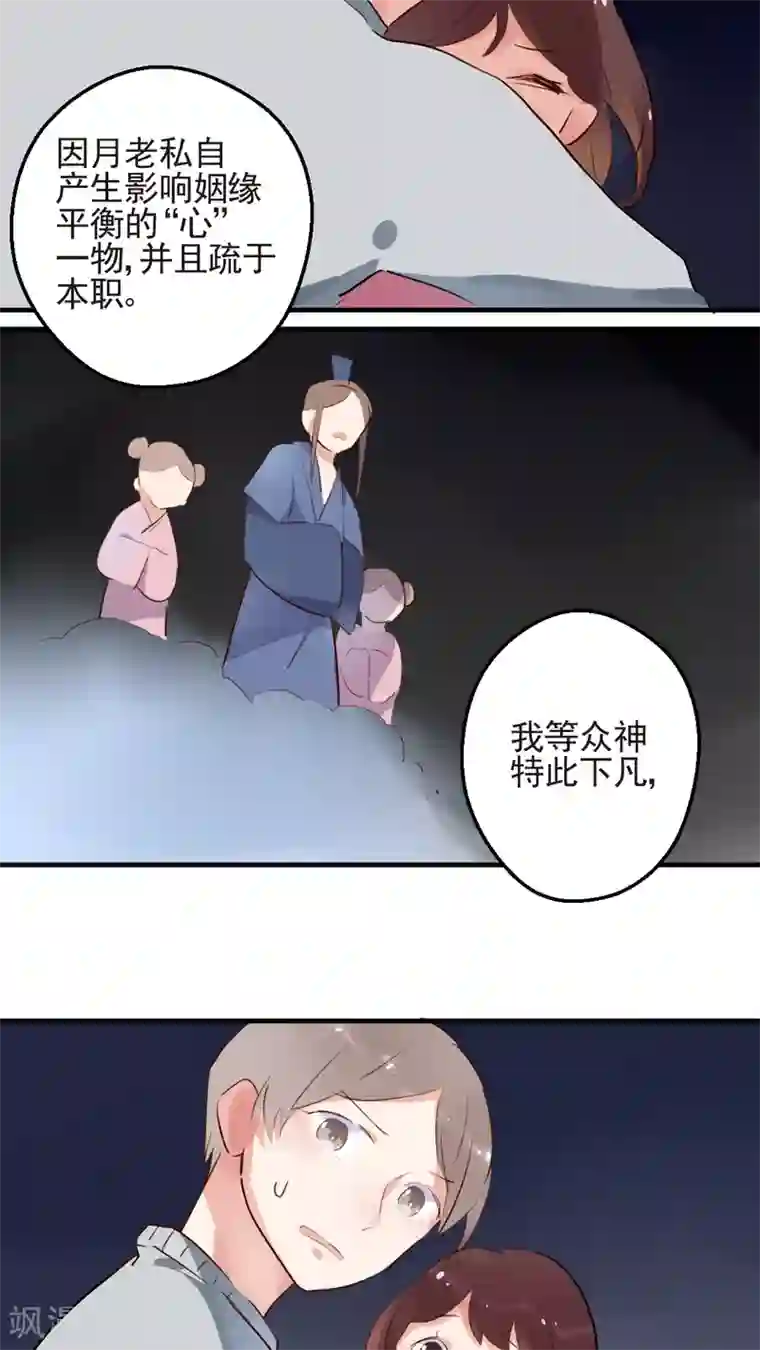 有言在仙第51话