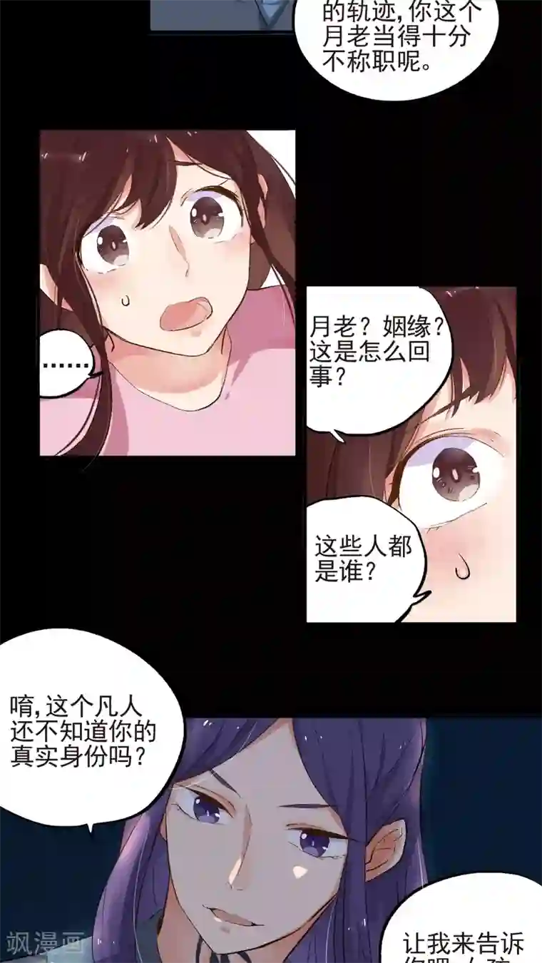 有言在仙第52话