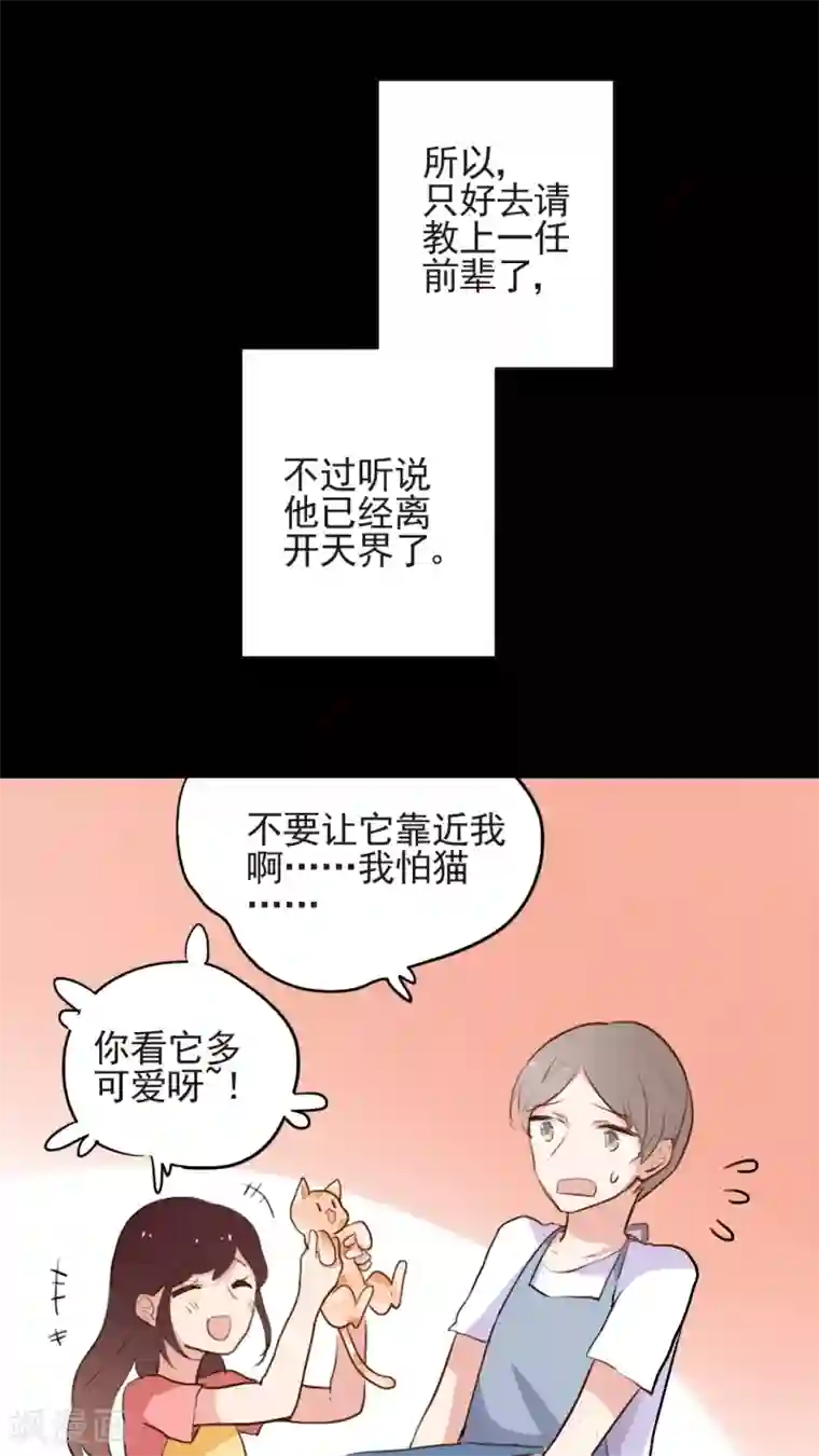 有言在仙最终话