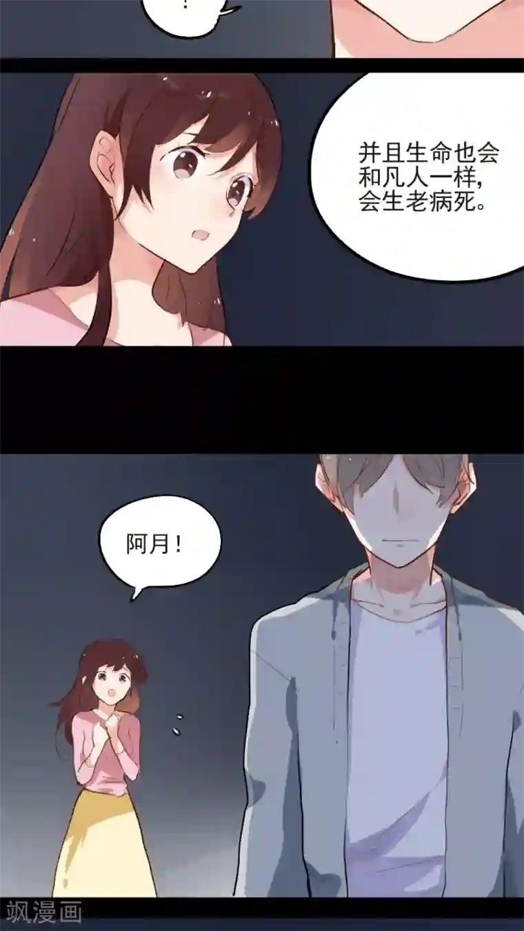 有言在仙最终话