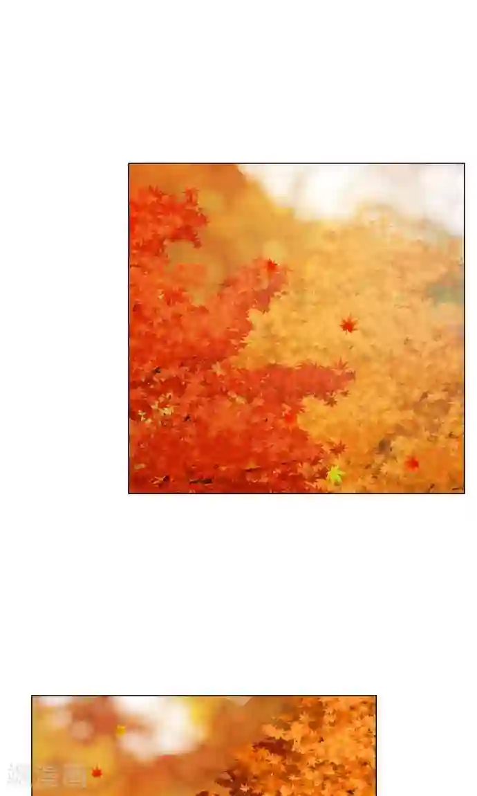 守护你的心脏第21话 想守护你