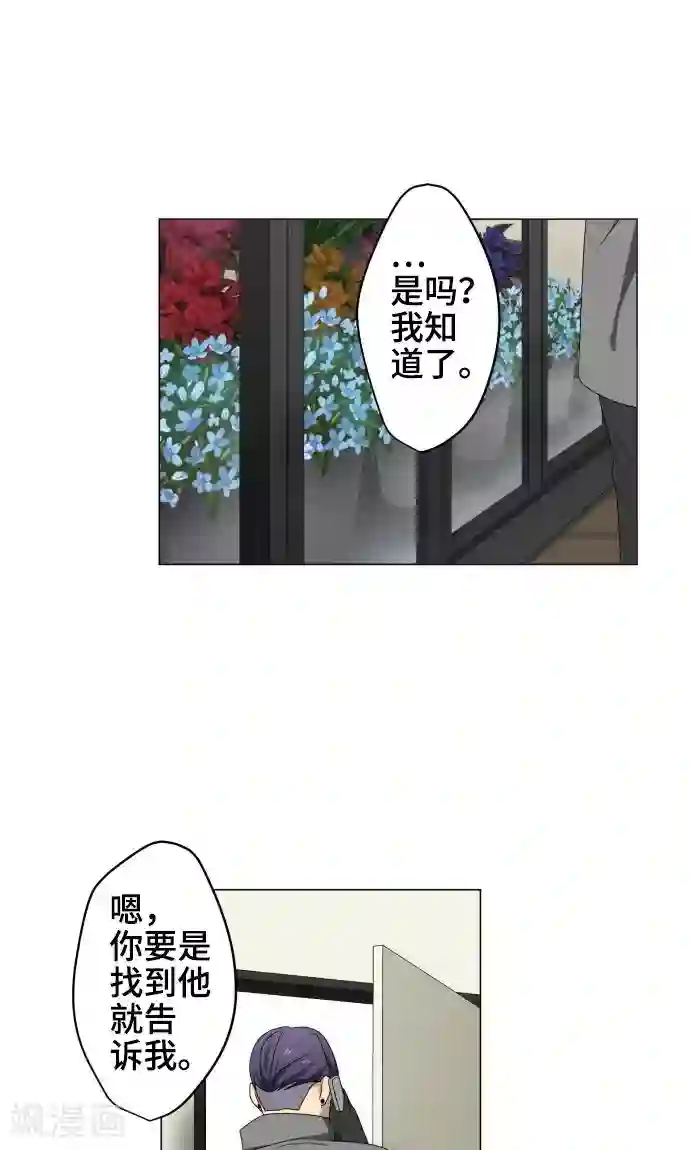 守护你的心脏第23话 岩玫瑰的花语