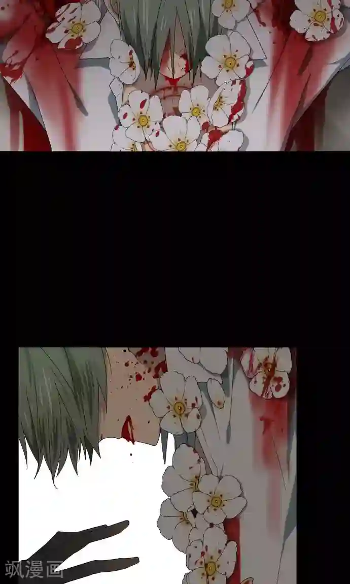 守护你的心脏第23话 岩玫瑰的花语