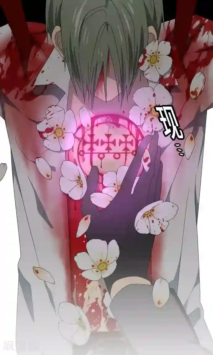 守护你的心脏第23话 岩玫瑰的花语