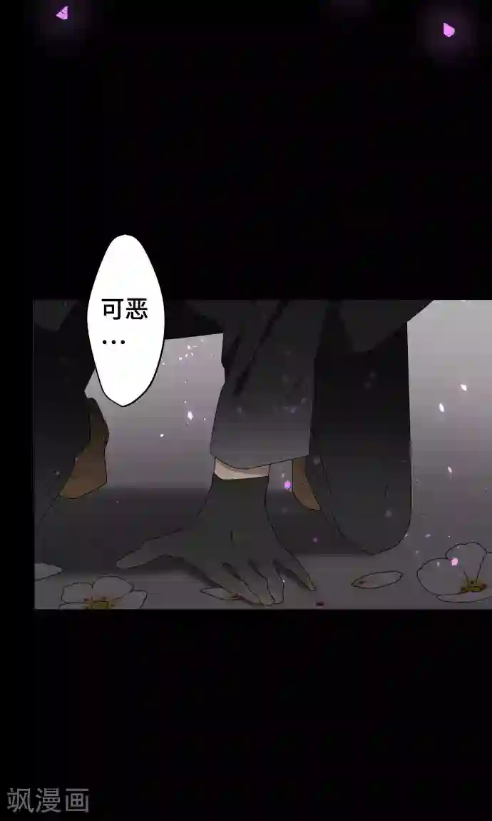 守护你的心脏第23话 岩玫瑰的花语