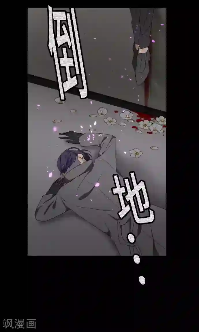 守护你的心脏第23话 岩玫瑰的花语