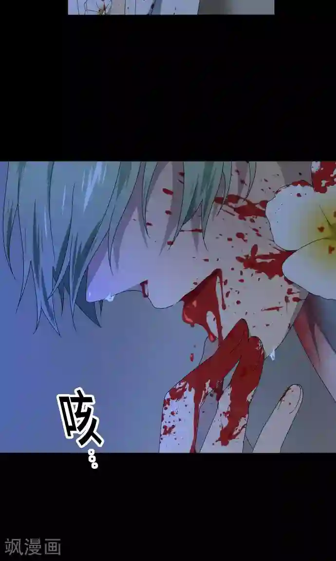 守护你的心脏第23话 岩玫瑰的花语
