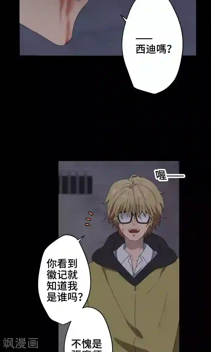 守护你的心脏第23话 岩玫瑰的花语