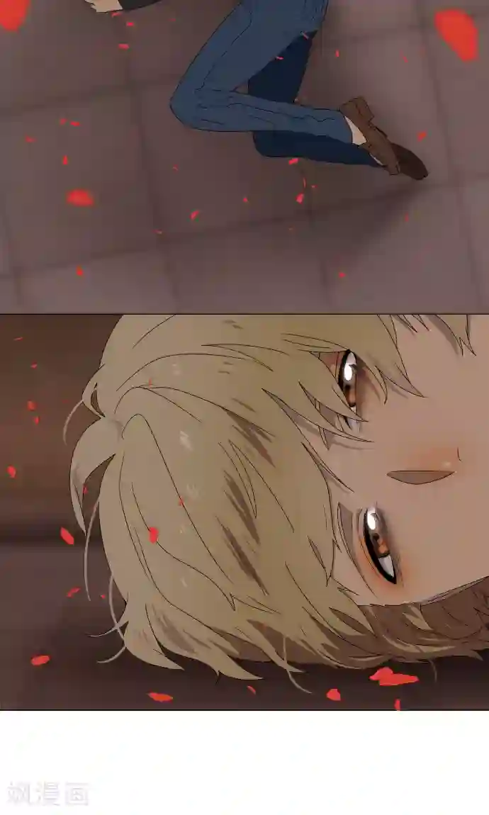 守护你的心脏第36话 见证结局