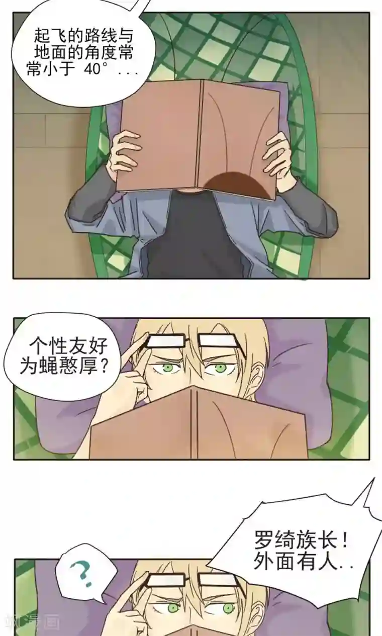 家庭和谐计划第4话