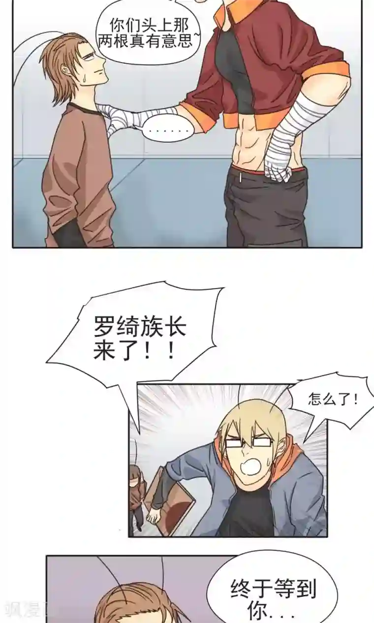 家庭和谐计划第4话