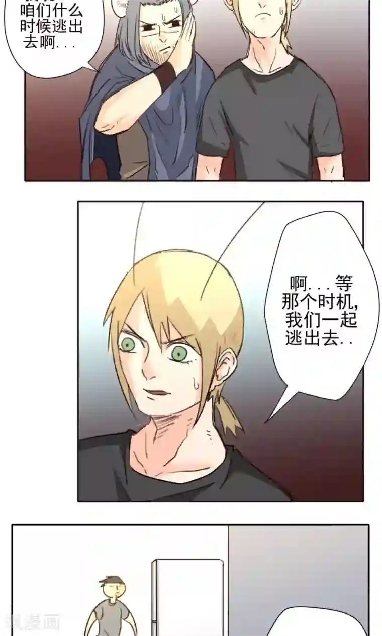 家庭和谐计划第29话