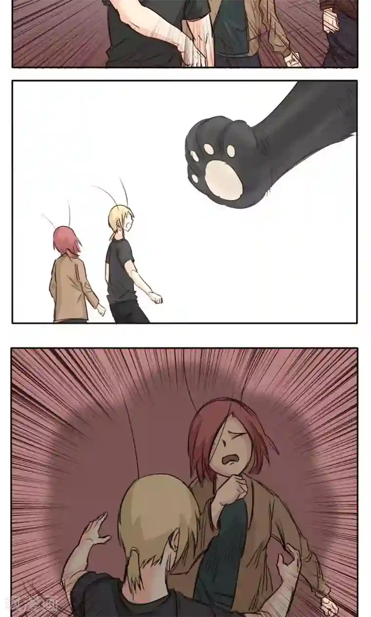 家庭和谐计划第29话