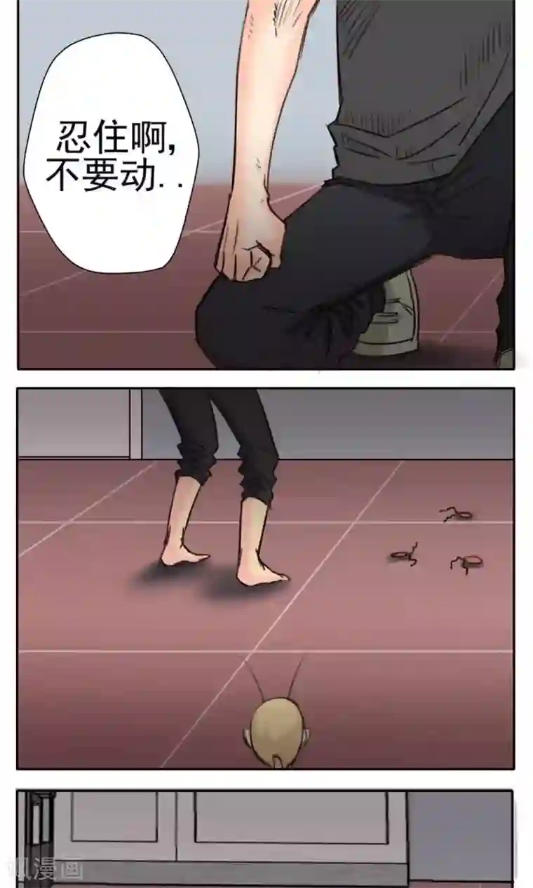 10cm标准图第30话