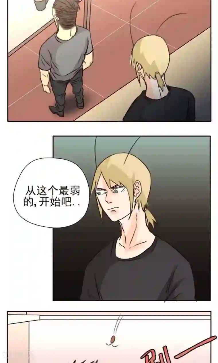 家庭和谐计划第31话