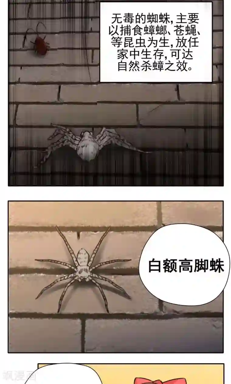 家庭和谐计划第33话