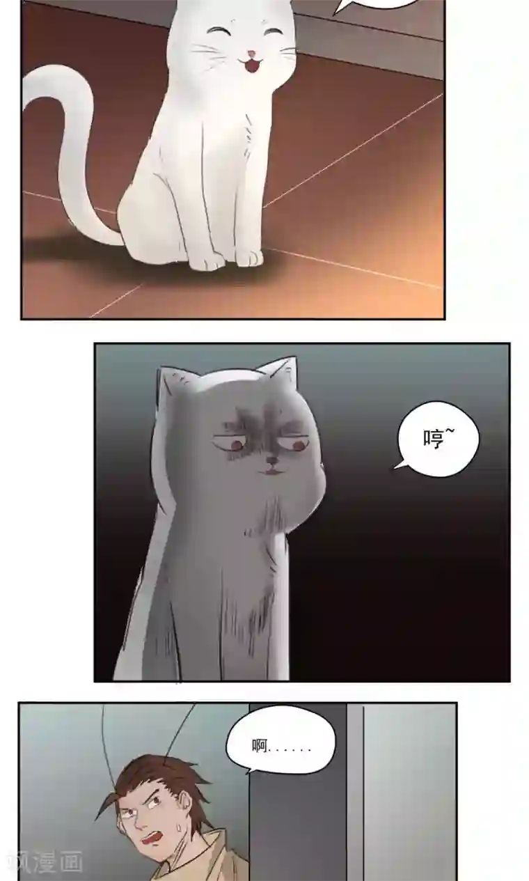 家庭和谐计划第41话