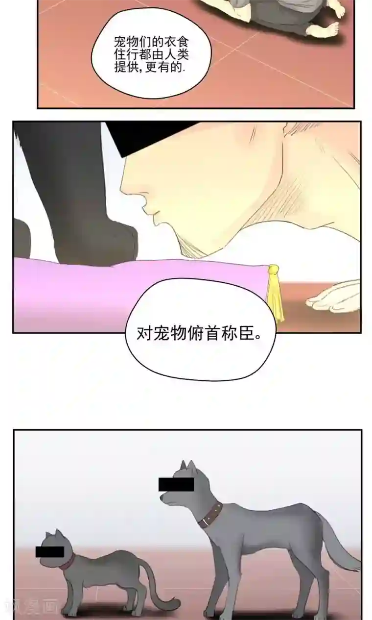 家庭和谐计划第47话