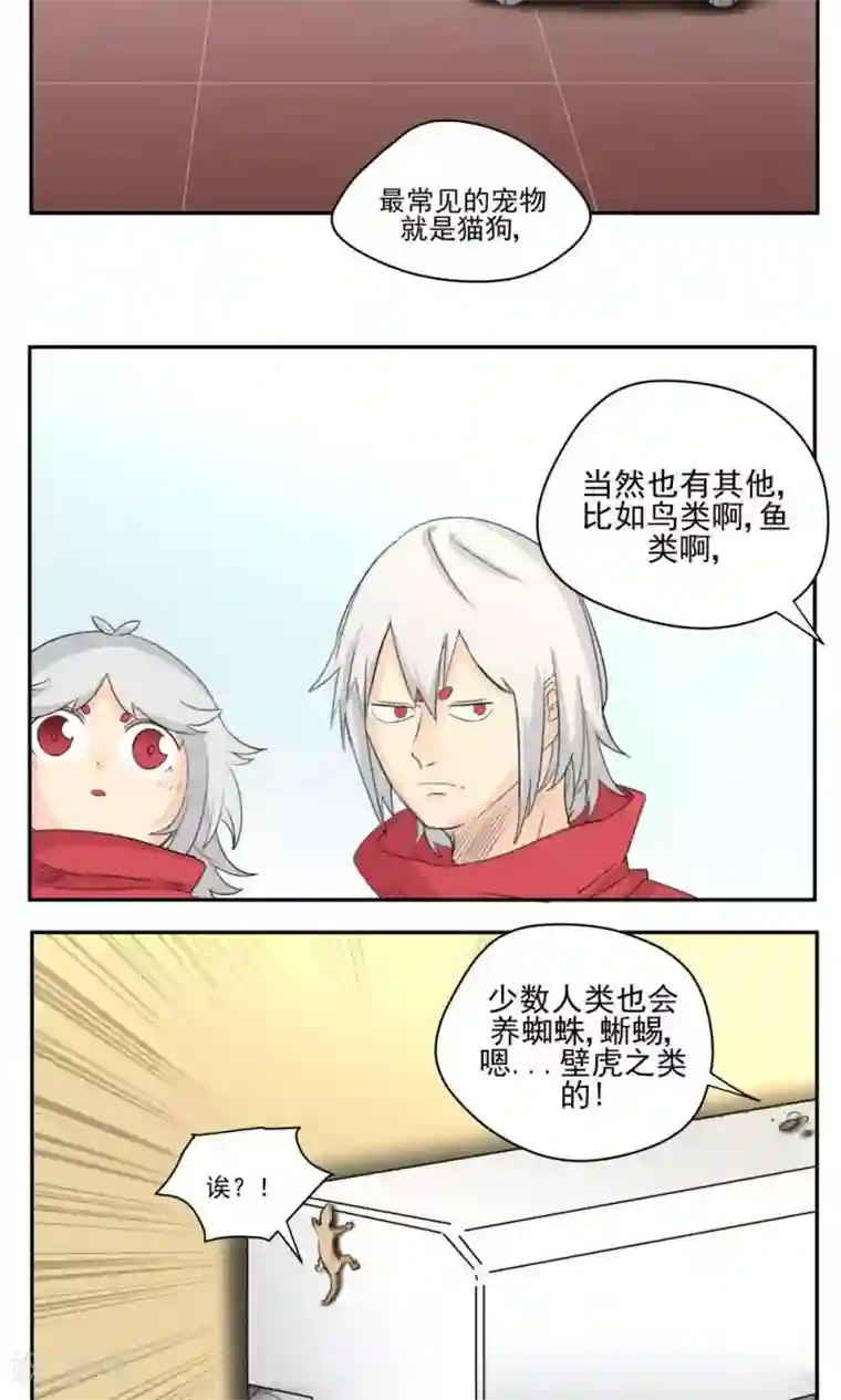 家庭和谐计划第47话