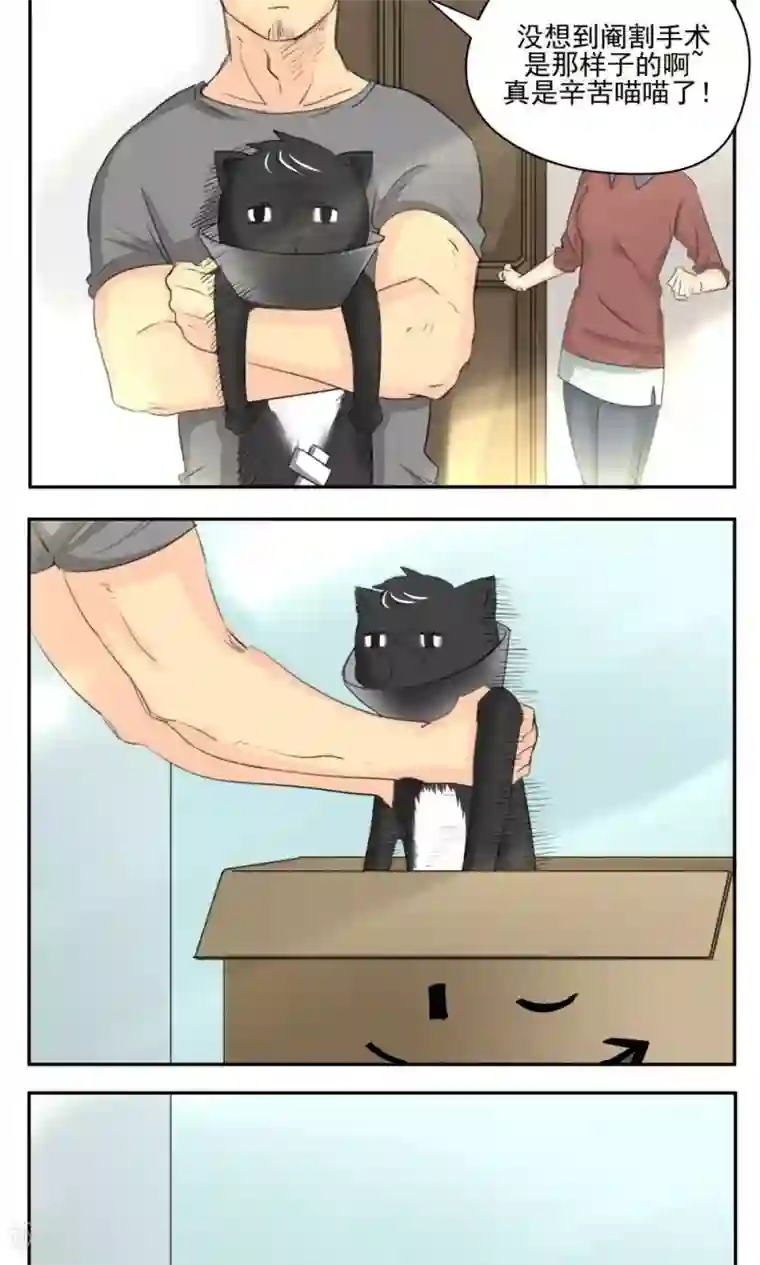 家庭和谐计划第47话