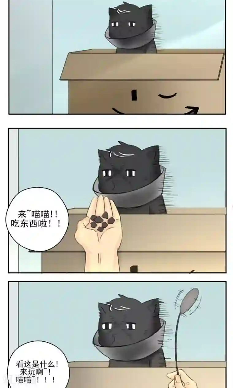 家庭和谐计划第47话