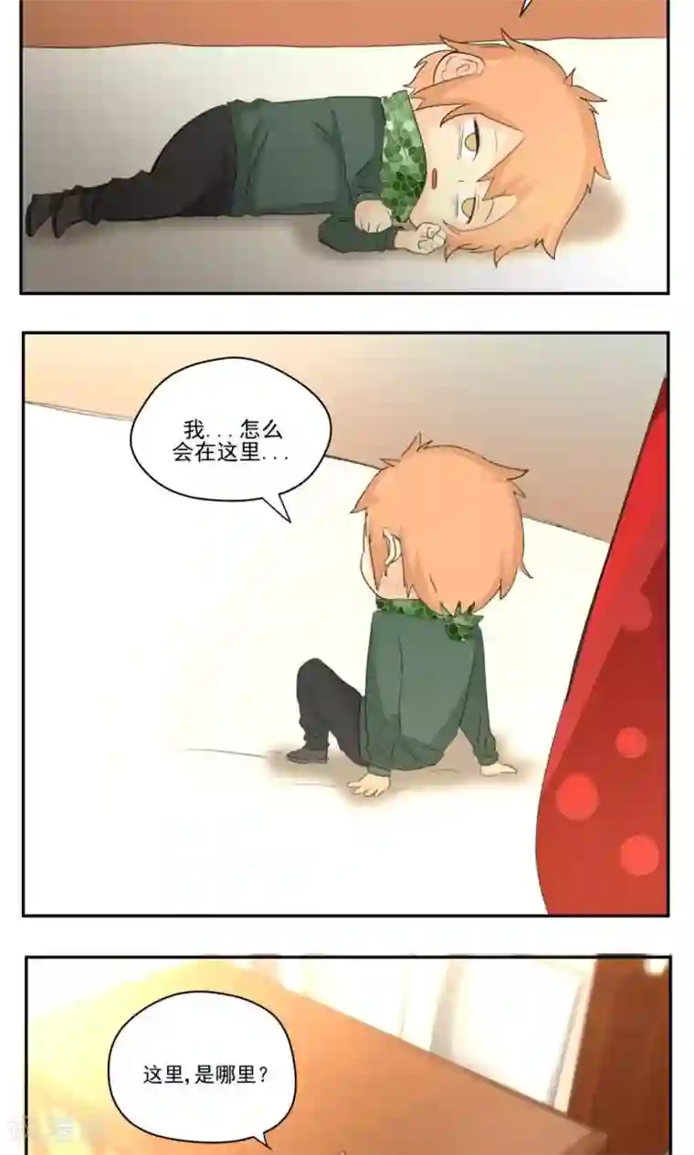 家庭和谐计划第48话