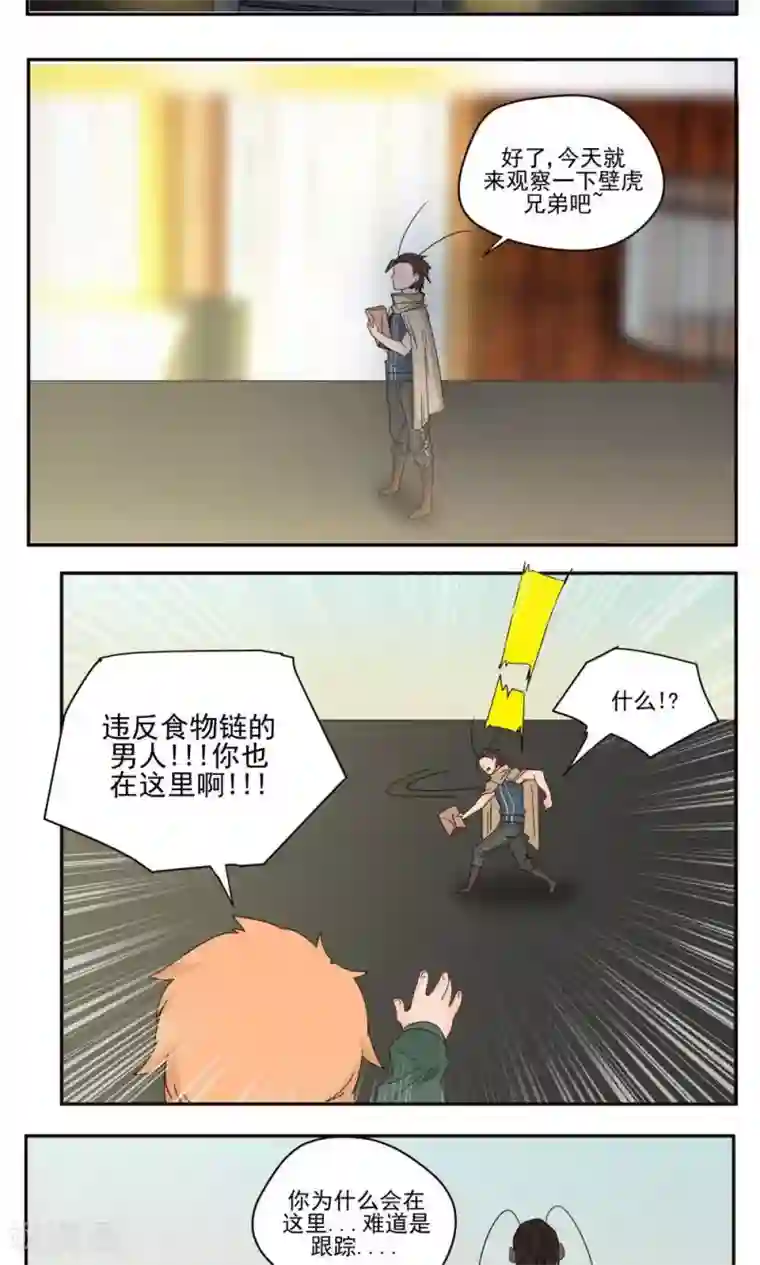 家庭和谐计划第50话