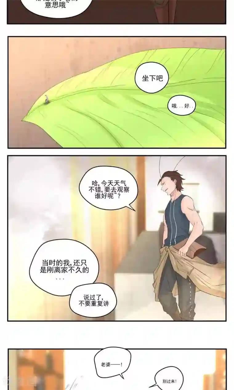 家庭和谐计划第53话