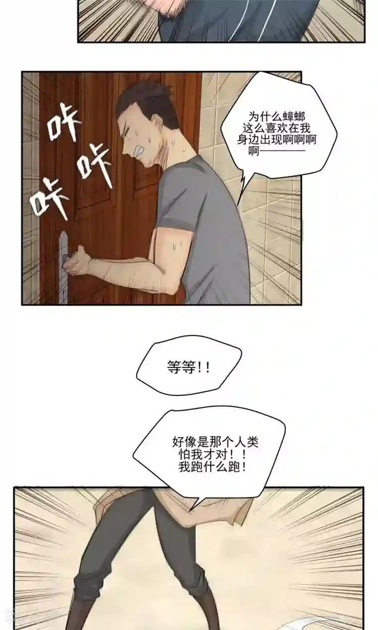 家庭和谐计划第61话