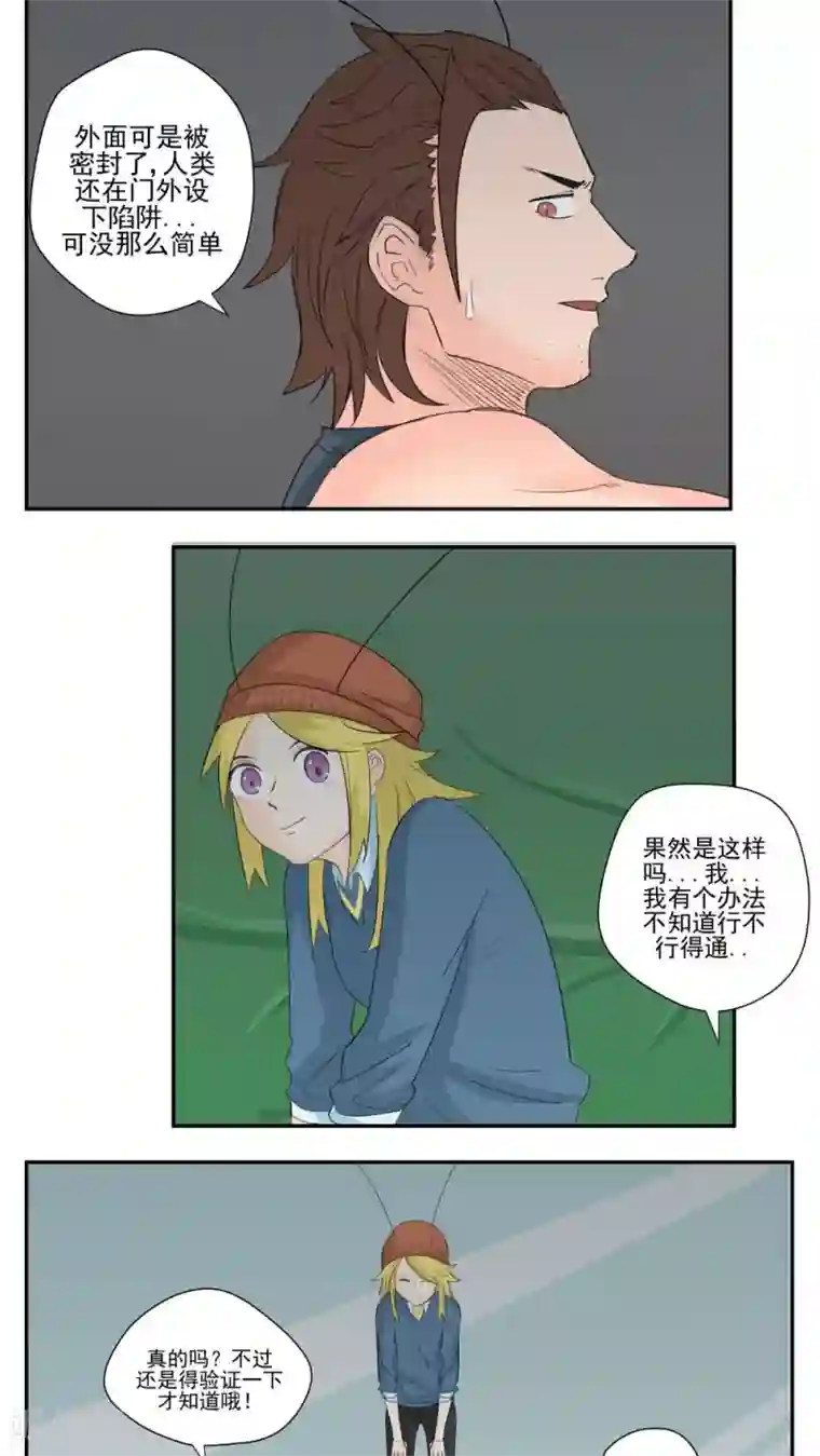 家庭和谐计划第70话