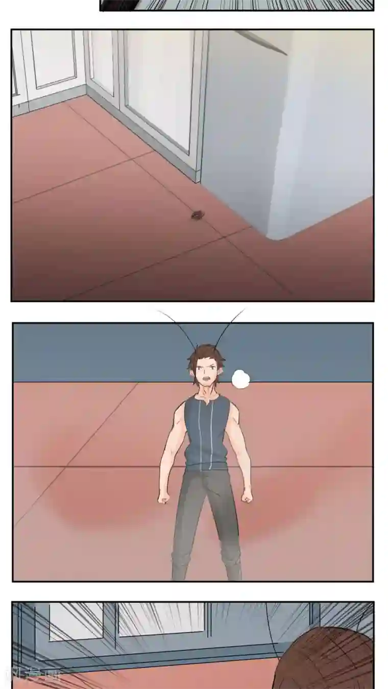 家庭和谐计划第70话