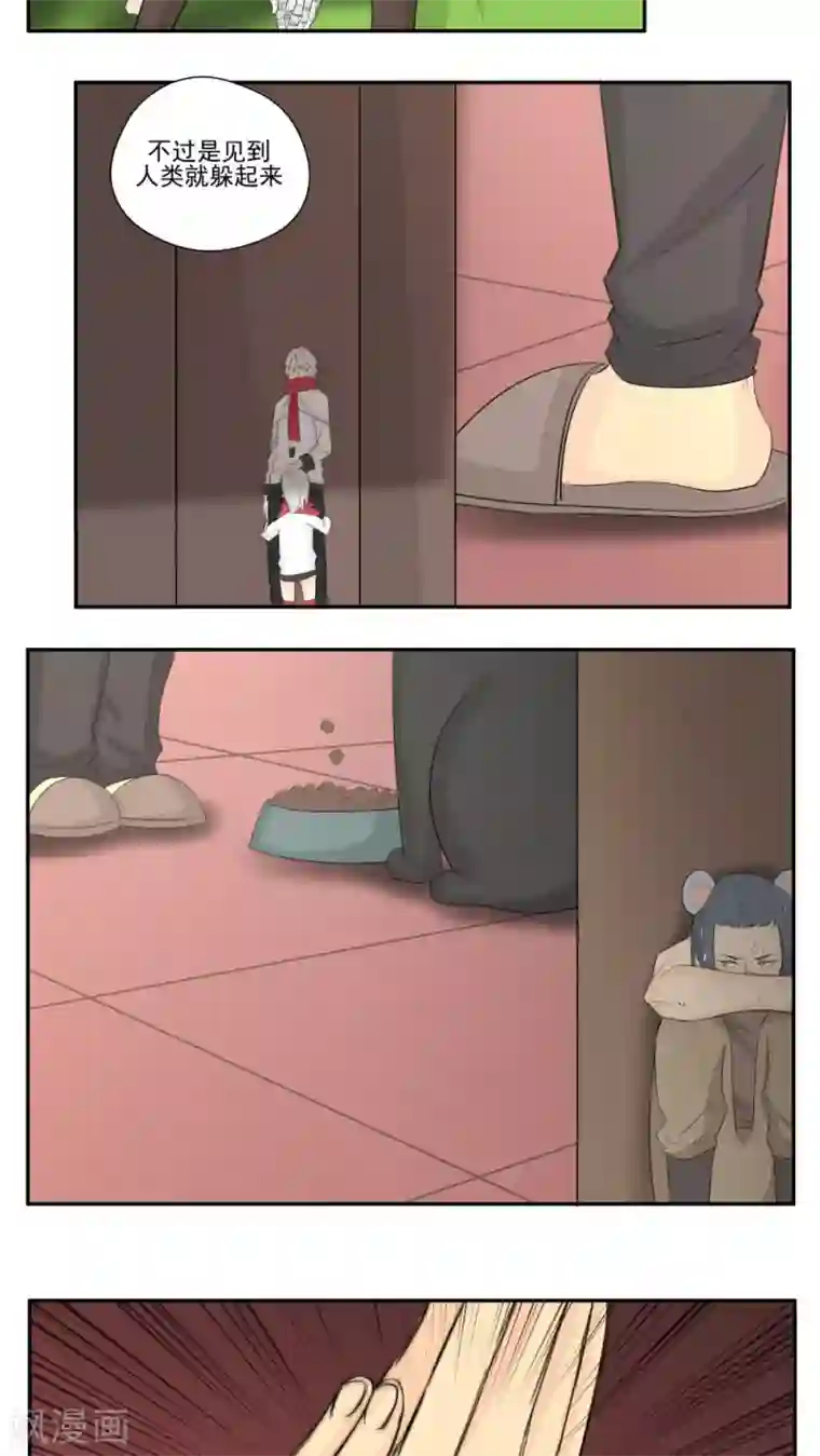 家庭和谐计划第75话