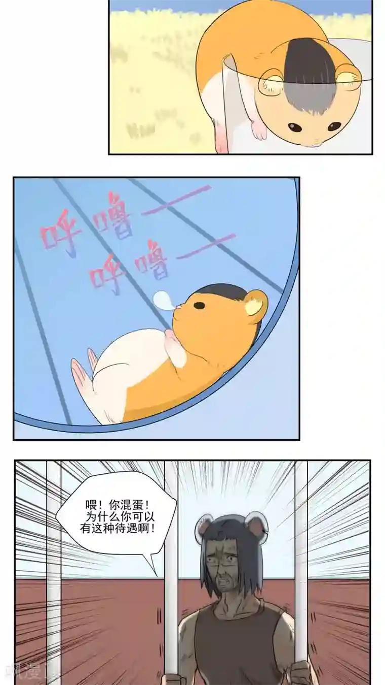 家庭和谐计划第76话