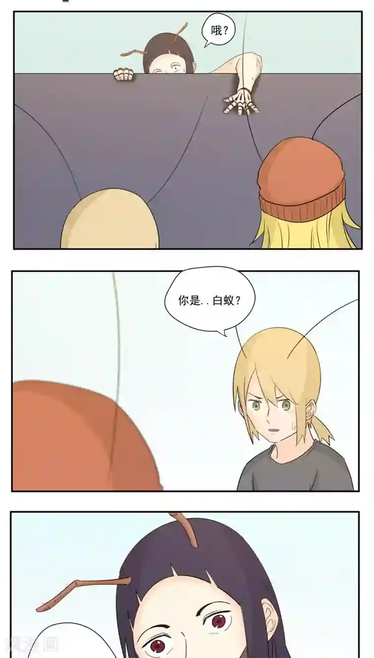 家庭和谐计划第82话