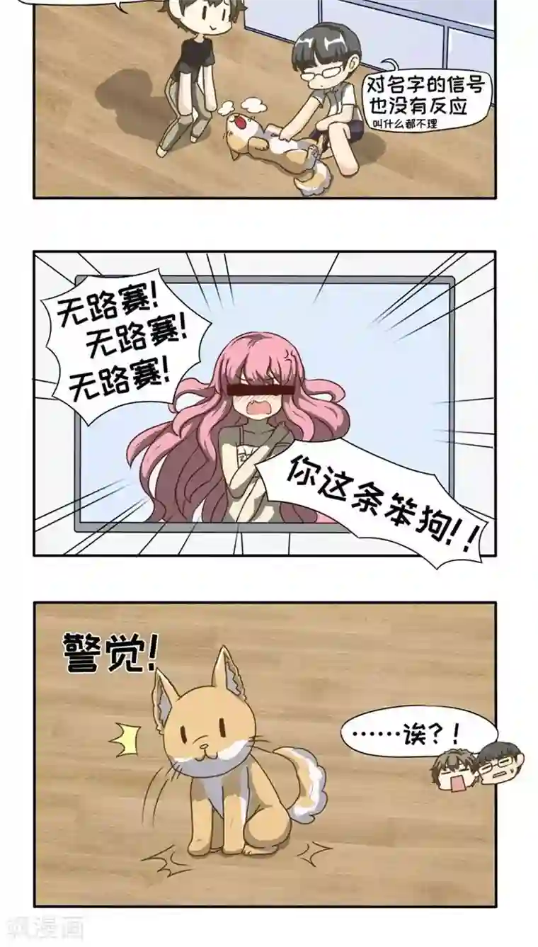 男朋友趴你身上蹭来蹭去第11话
