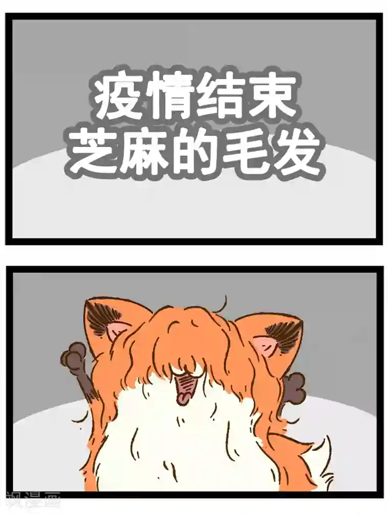 一品芝麻狐番外23 你好，星狐21