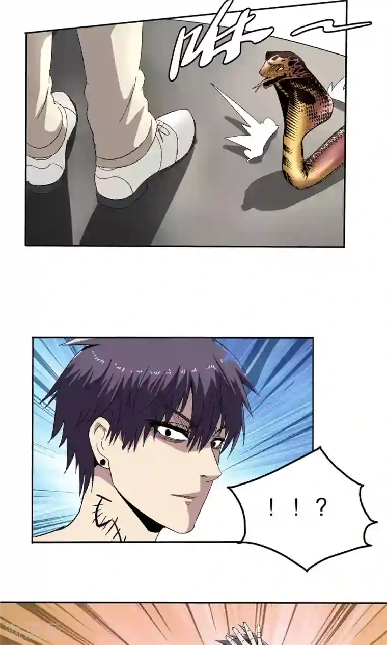 真实游戏第46话