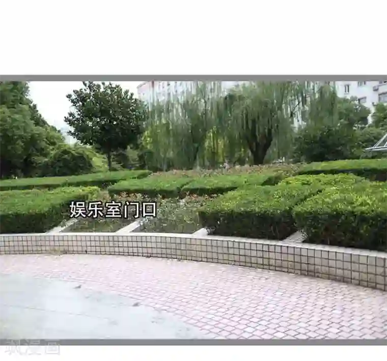 暗恋成婚第37话