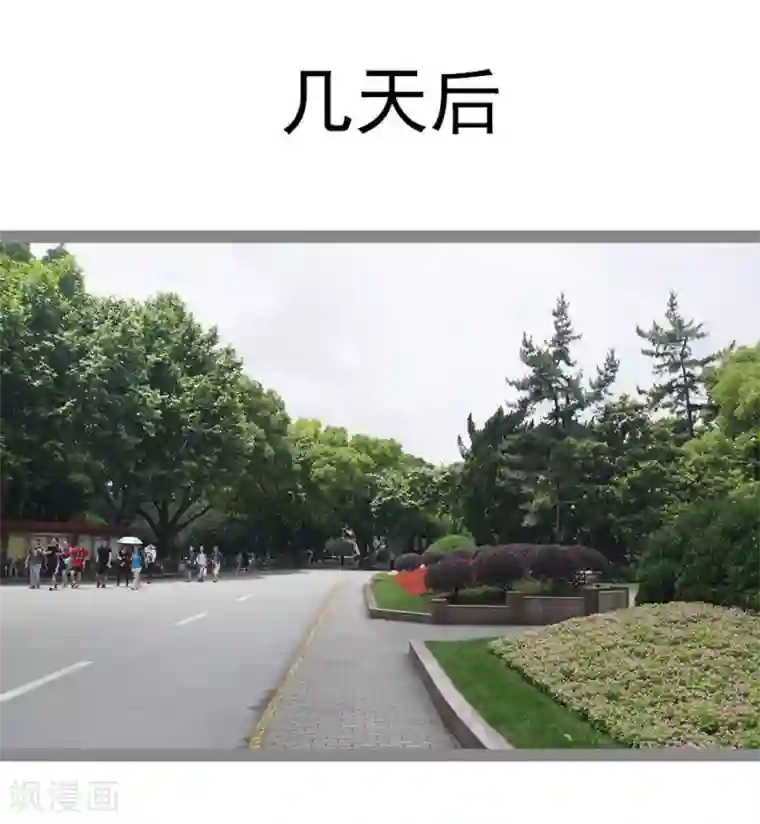 暗恋成婚第41话