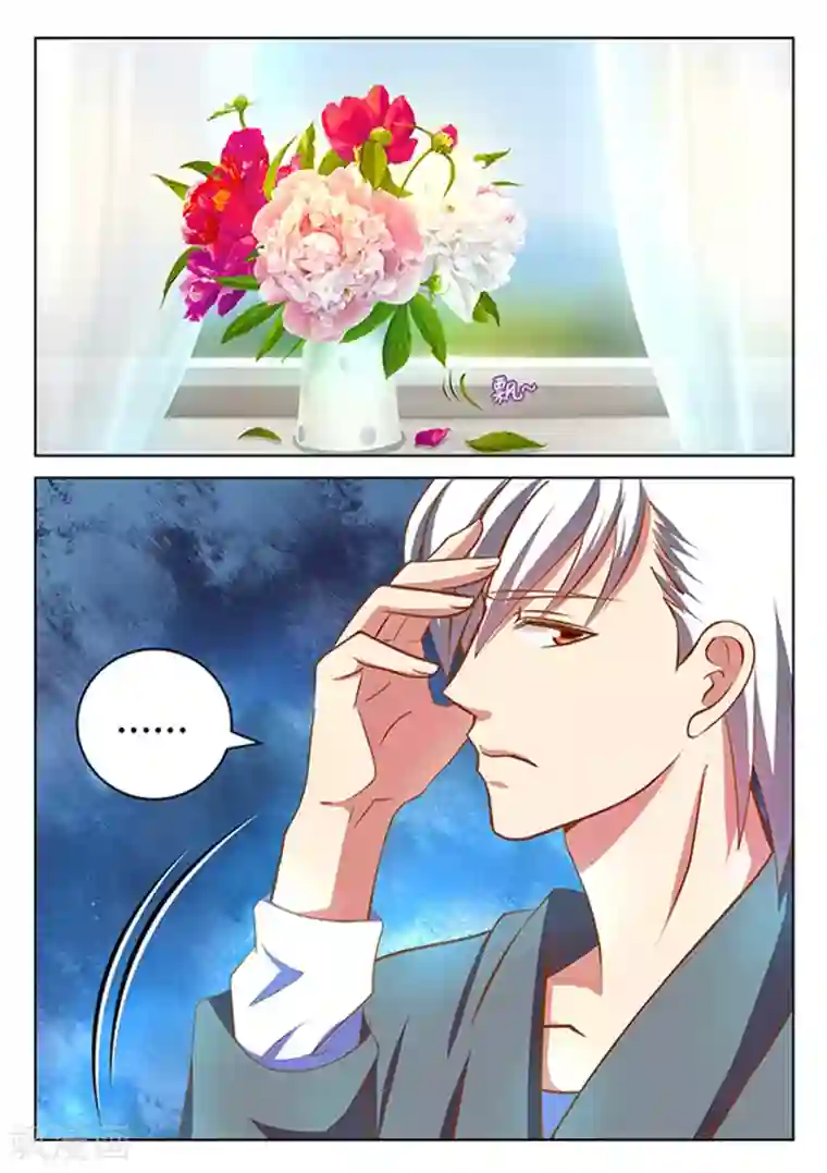 闪亮少女第11话