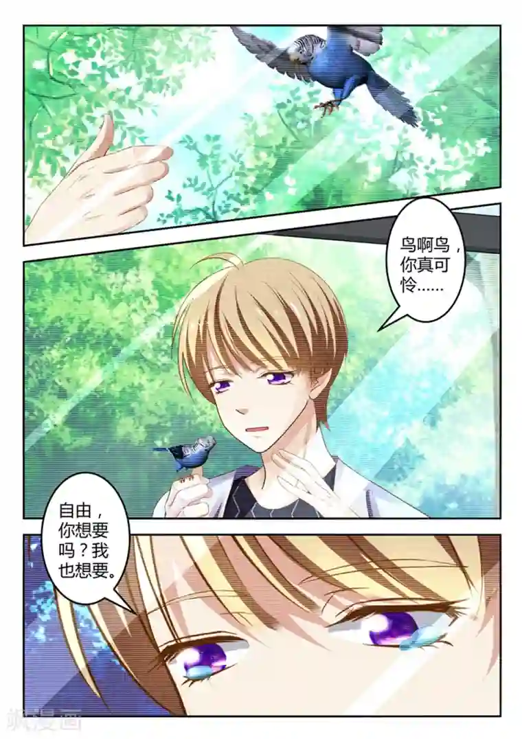 闪亮少女第21话