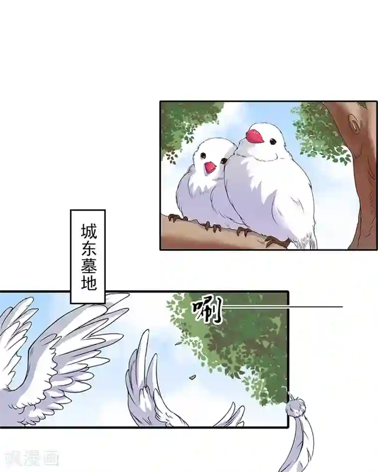 乔少的心尖宠第6话 怀疑