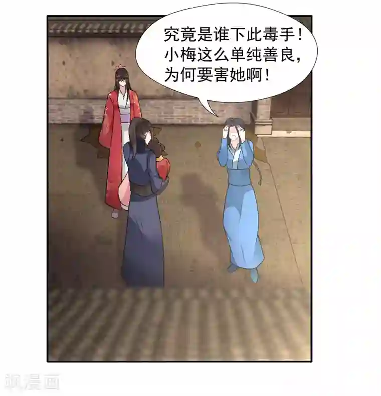 狂女重生：纨绔七皇妃第48话 毁容