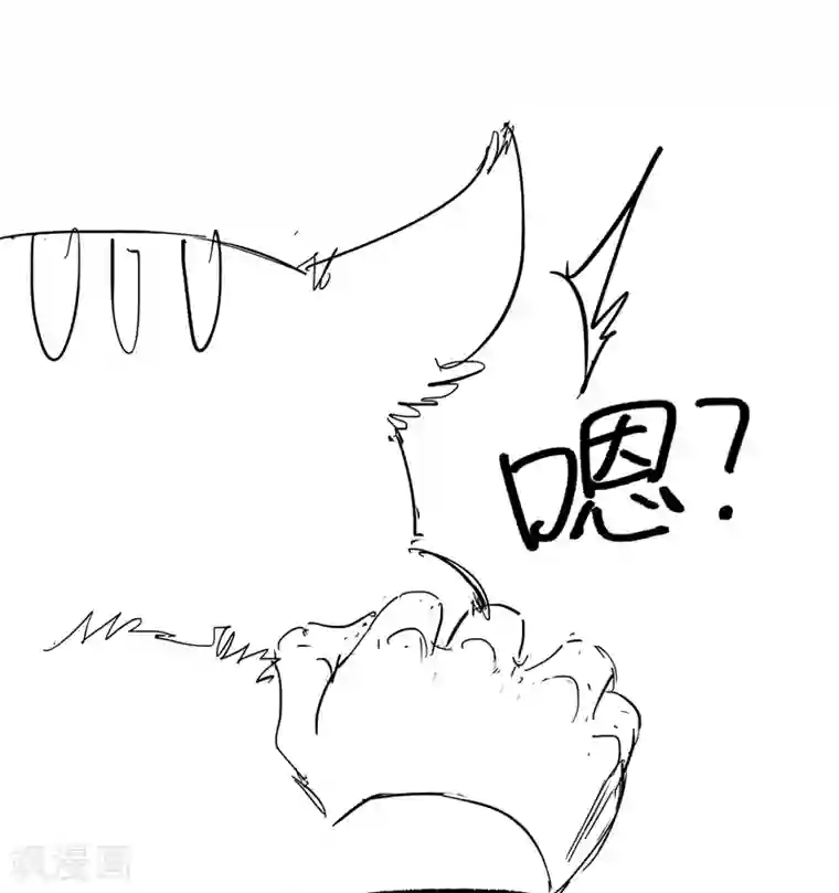 狂女重生：纨绔七皇妃第48话 毁容